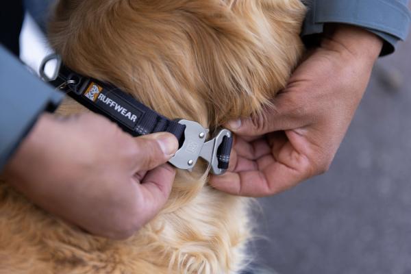 Ruffwear Top Rope Collar Basalt Gray 28-36 cm Ruffwear Top Rope Collar Basalt Gray 28-36 cm